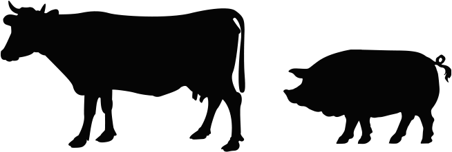 Domestic Pig Clipart (2048x251), Png Download