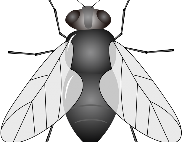 Cheerleading Clipart Black And White Poms - Png Download (640x480), Png Download