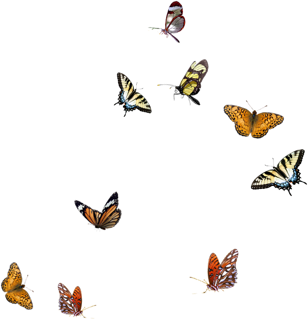 Butterfly Clip Art - Flying Blue Butterfly Transparent Background - Png Download (634x660), Png Download