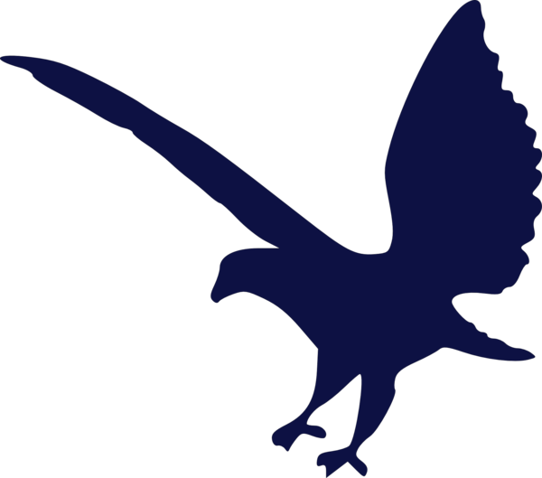 Wedge Tail Eagle Silhouette Clipart (600x529), Png Download