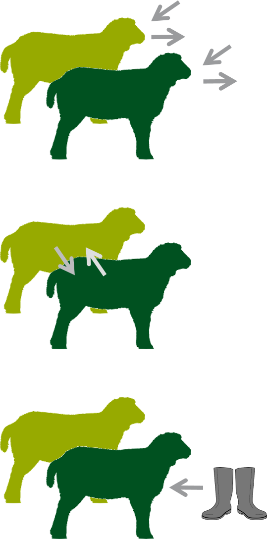 Tranmission Modes Clipart (539x1088), Png Download