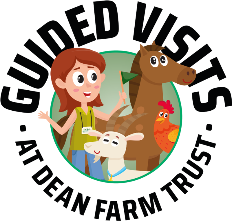 Cartoon Clipart (850x810), Png Download