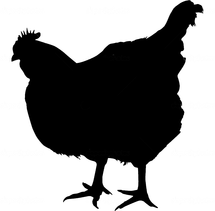 Clipart Chicken Silhouette - Chicken Silhouette Transparent Background - Png Download (950x950), Png Download