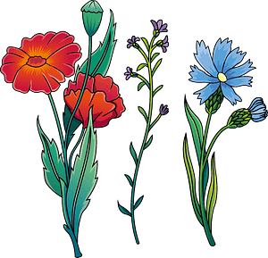 Clip Art - Png Download (300x289), Png Download