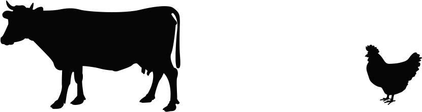 Clip Art - Png Download (2048x251), Png Download