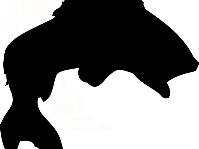 Download Transparent Koi Clipart - Bass Fish Clipart Silhouette ...
