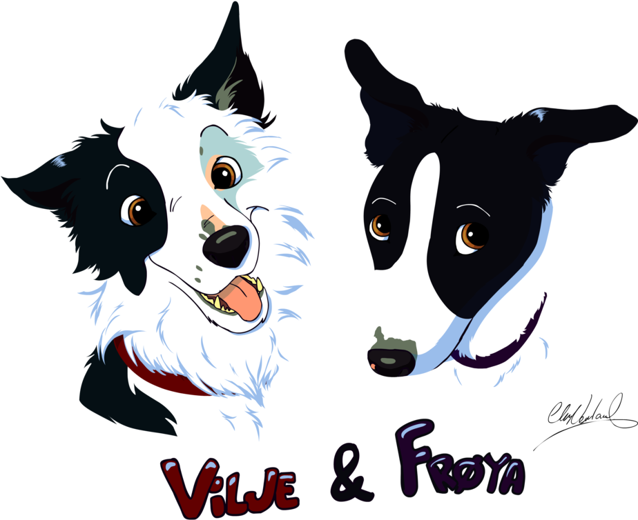 Border Collie Clipart (923x866), Png Download