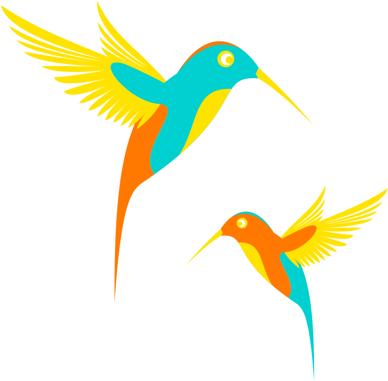 Colibri Birds - Colibrí Clipart - Png Download (800x800), Png Download
