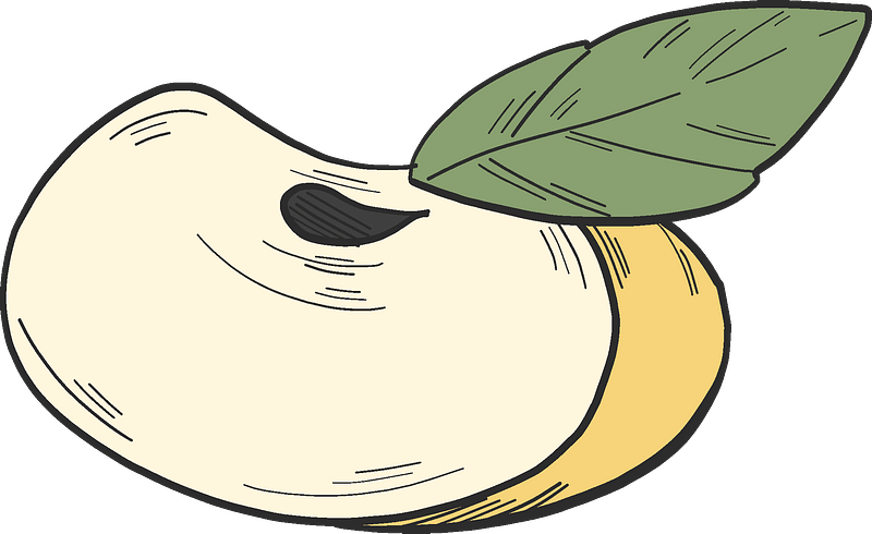 Slice Of Yellow Apple 2 Clipart - Png Download (800x490), Png Download