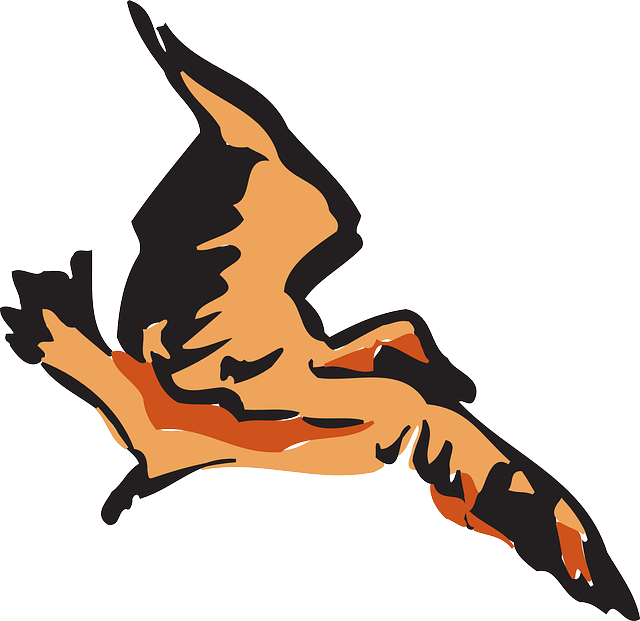 Brown, Bird, Flying, Wings, Art, Feathers, Fly - Clip Art - Png Download (640x621), Png Download