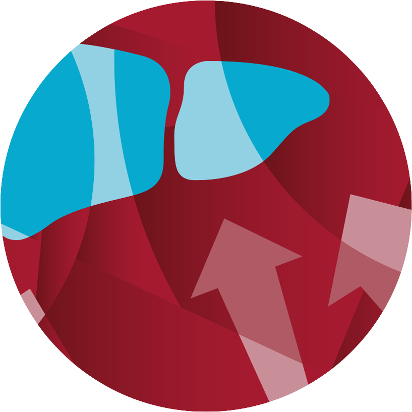 Circle Clipart (900x819), Png Download