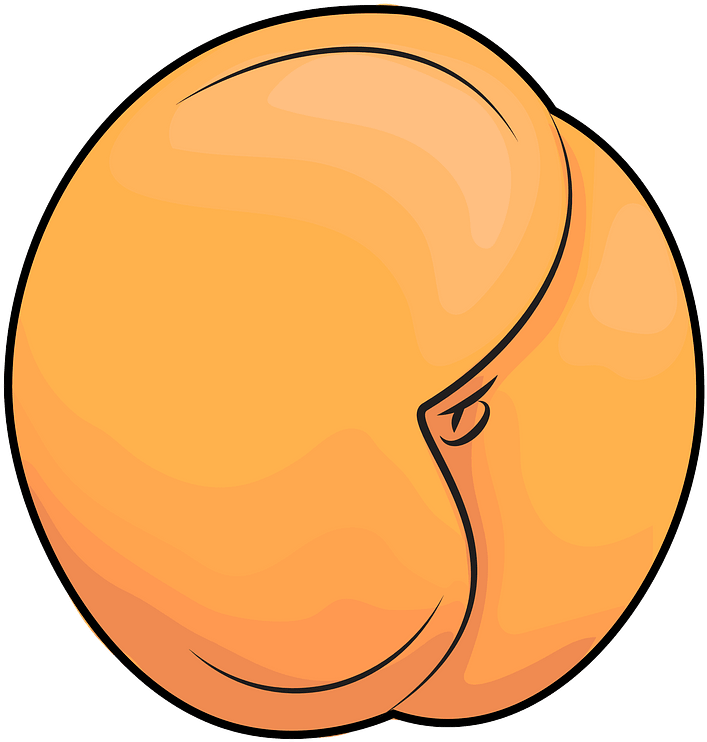 Apricot Clipart - Png Download (756x800), Png Download