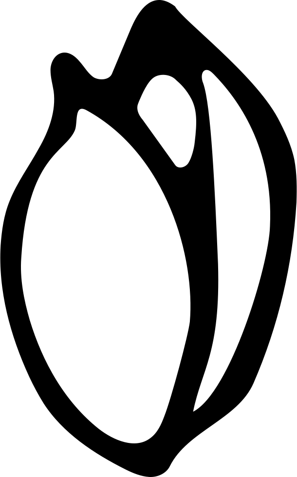 Nut Clipart Svg - Scalable Vector Graphics - Png Download (610x980), Png Download