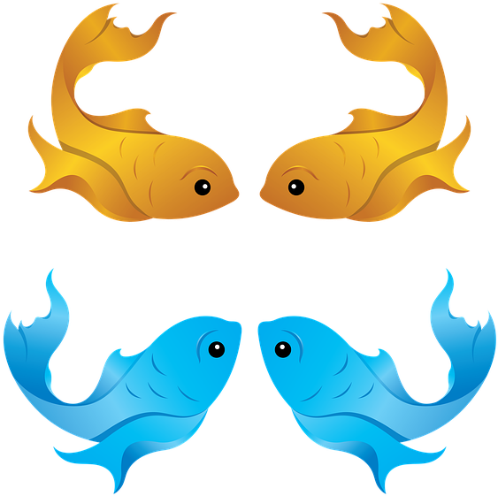 Clip Art - Png Download (640x640), Png Download