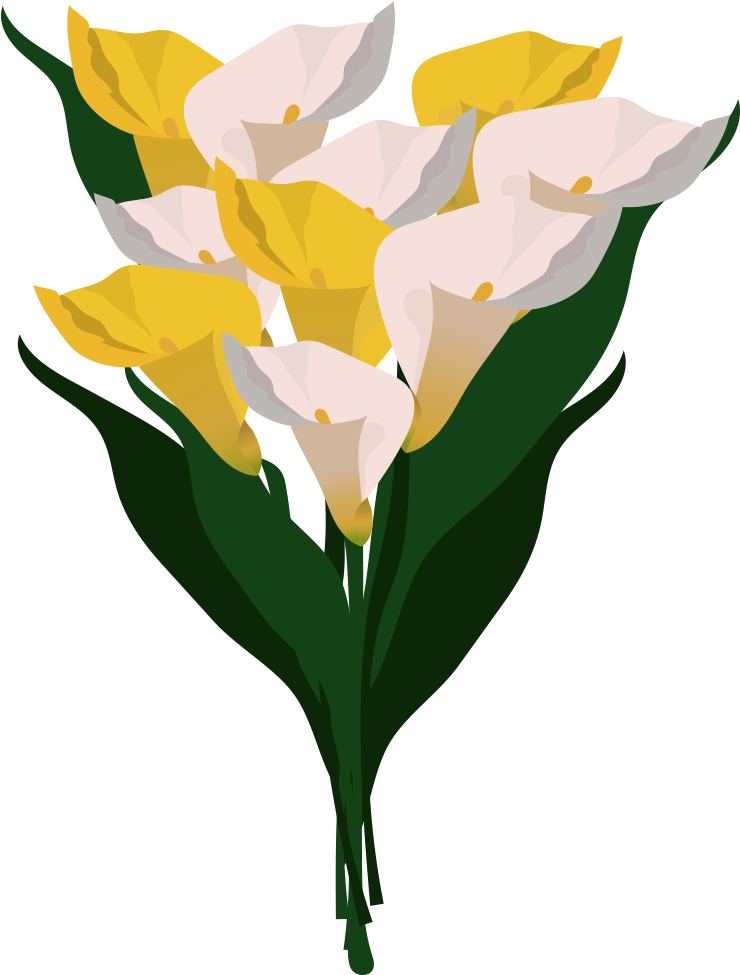 Calla Lilies Clipart - Png Download (801x1000), Png Download