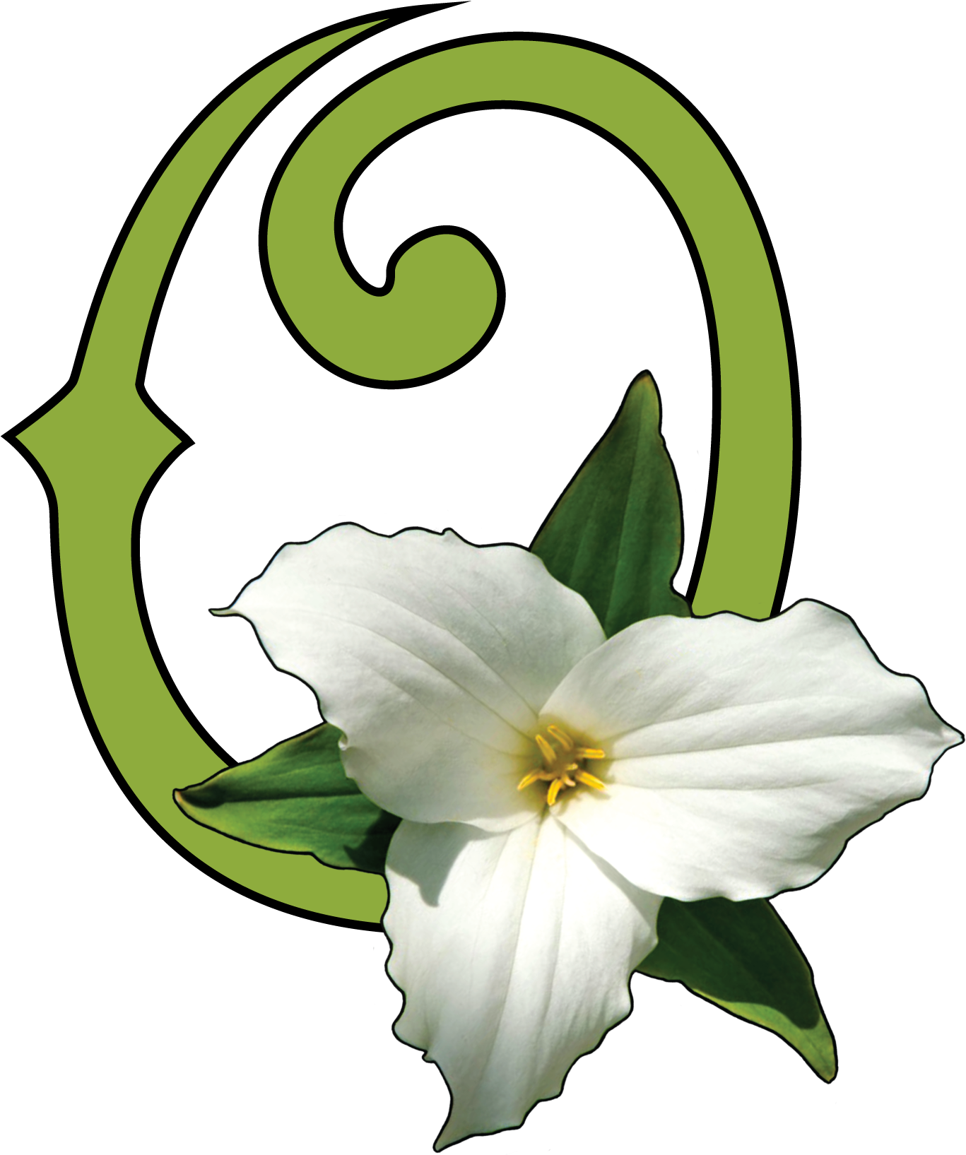 Ohio Native Plant Month April Clipart (1391x1655), Png Download