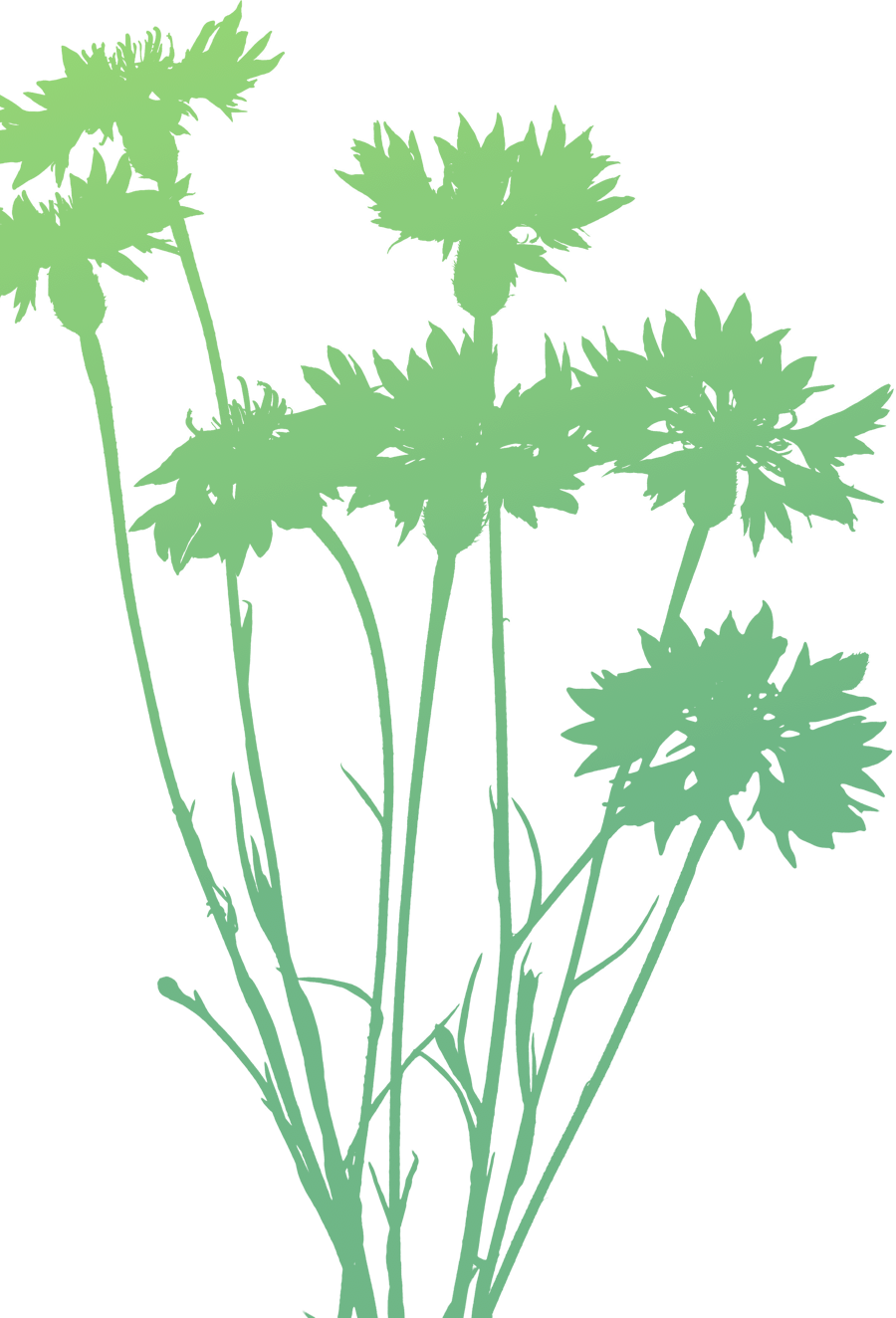 Clip Art - Png Download (900x1324), Png Download