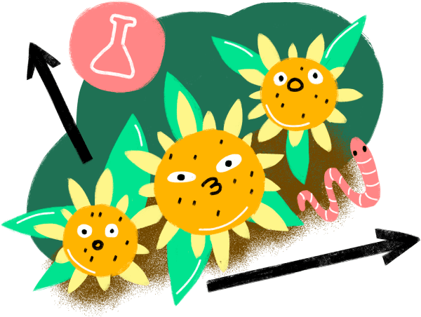 Cartoon Clipart (800x800), Png Download
