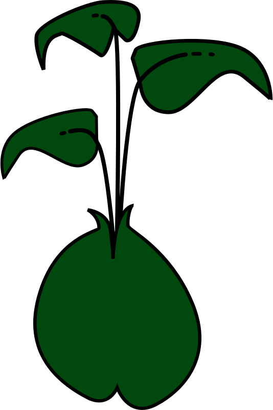 Bean Sprout Clipart - Png Download (534x800), Png Download