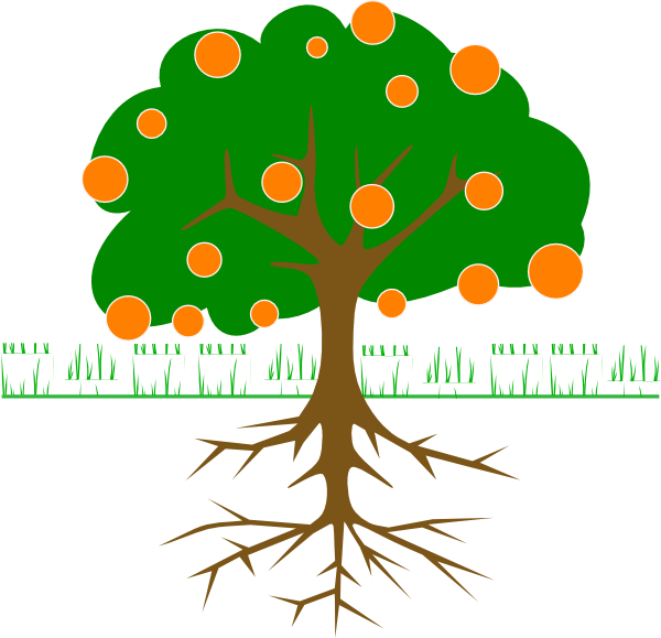 Lime Tree Clipart Transparent Library Citrus Tree Clip - Apple Tree With Roots - Png Download (600x579), Png Download