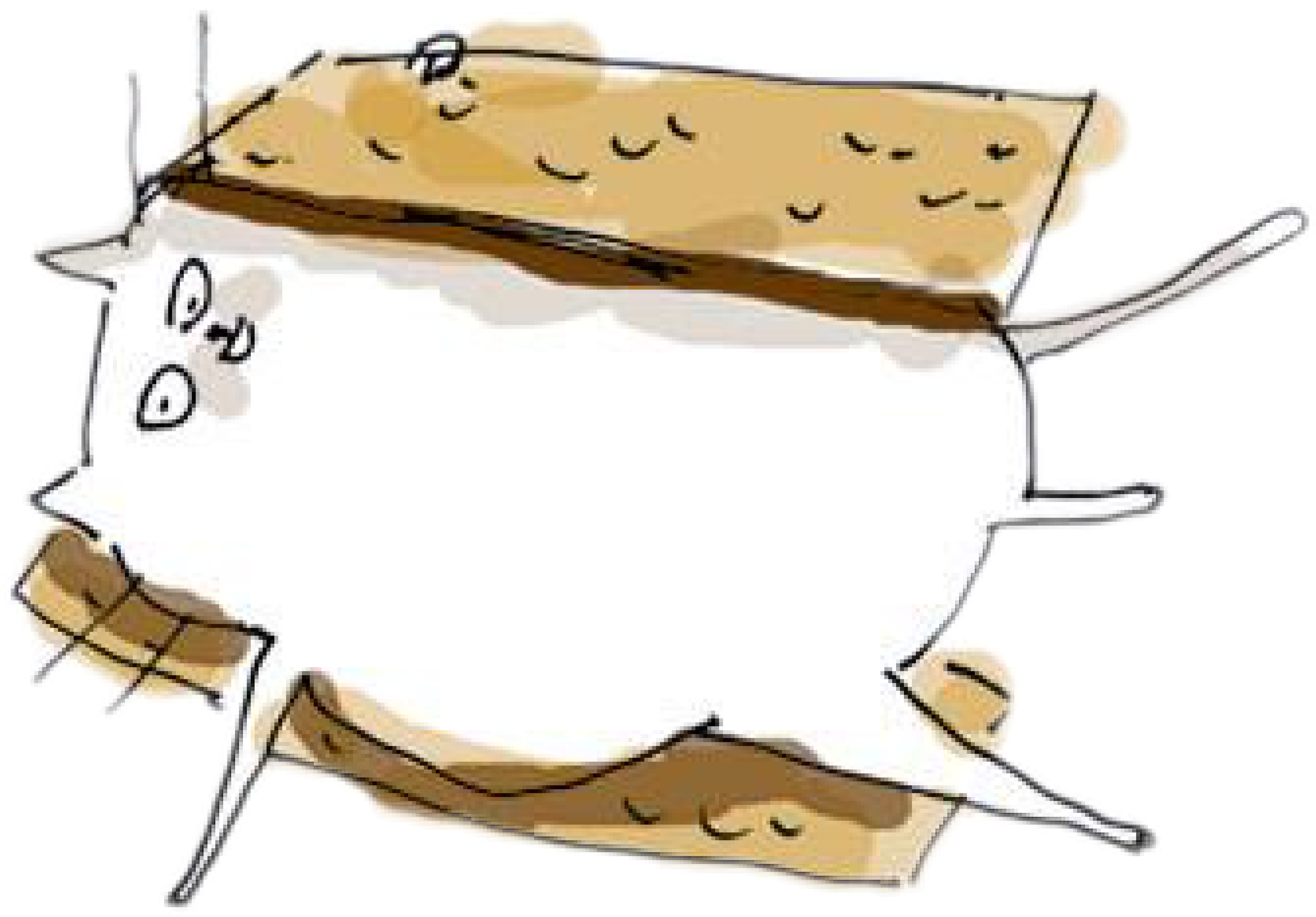 #marshmallow #marshmallows #smore #smores #smorescat - Cat Cartoon Marshmallow Clipart (3464x3464), Png Download