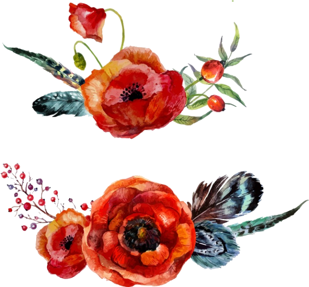 #freetoedit #poppyflower #poppy #poppies #flowers #stickerart - Red Watercolor Floral Png Clipart (666x606), Png Download