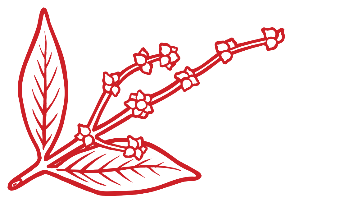 Clip Art - Png Download (1152x691), Png Download