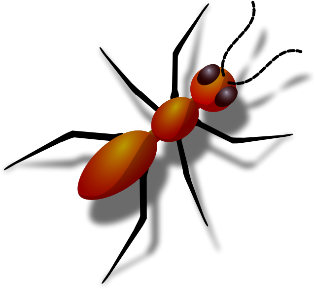 Ant Squash Free Content Clip Art - Animal That Has 6 Legs - Png Download (800x800), Png Download
