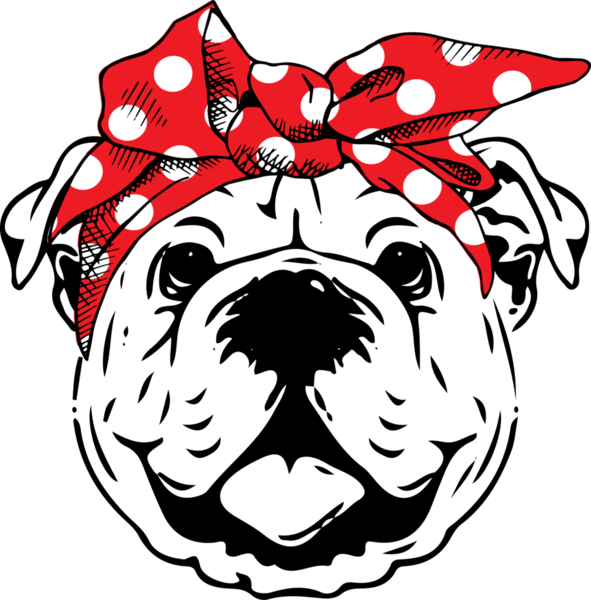 English Bulldog Face Vector Clipart (591x600), Png Download