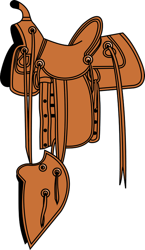 Saddle B V2 - Transparent Saddle Clipart - Png Download (463x800), Png Download