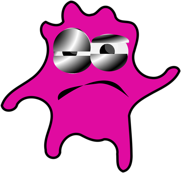 Bakterier Png Clipart (640x633), Png Download