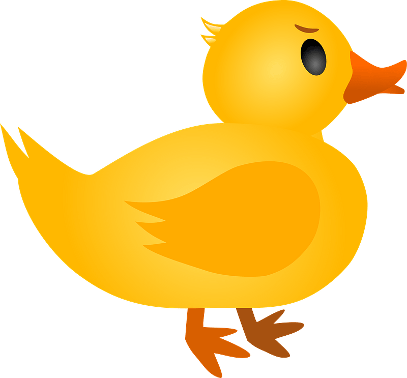 Duck Clipart - Duck - Png Download (800x743), Png Download
