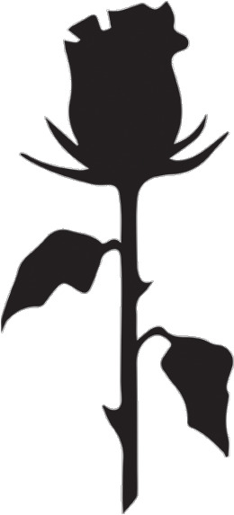 Black Rose Instagram Surfboard Surfing Hashtag - Black Rose Clipart (640x640), Png Download