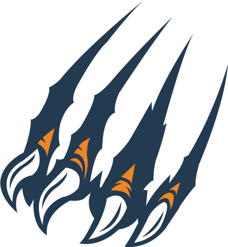 Felidae Golden Tiger Clip - Tiger Claw Vector - Png Download (800x800), Png Download