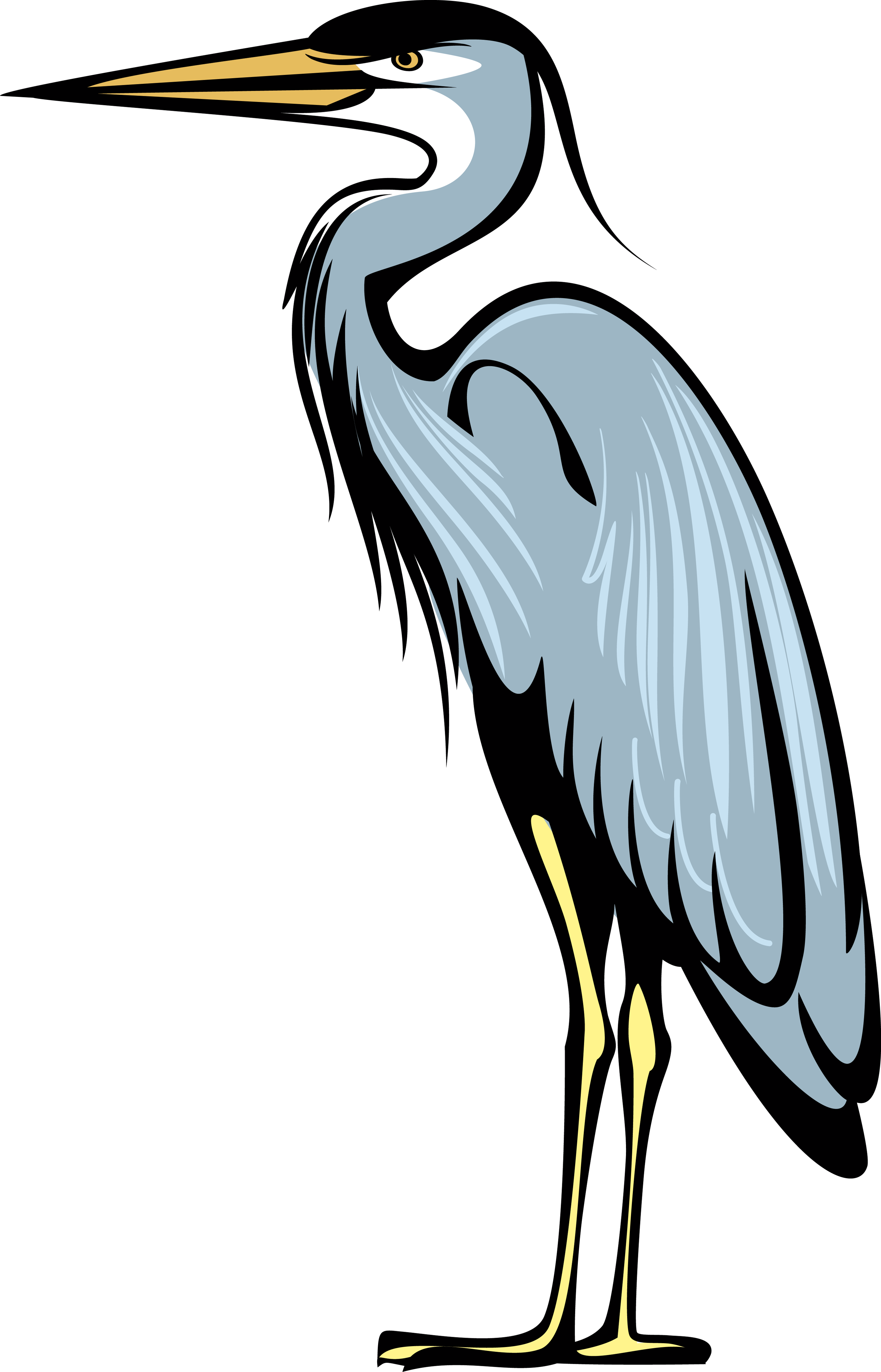 Great Blue Heron Bird Crane Heraldry - Great Blue Heron Clipart - Png Download (2999x4671), Png Download