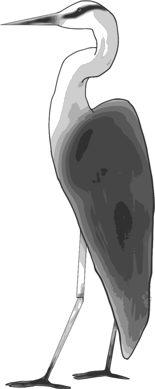 Ciconiiformes Clipart (1600x1600), Png Download