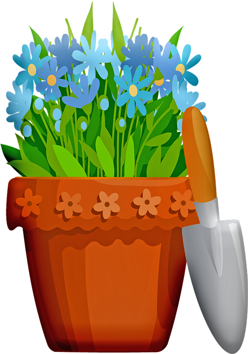 Gentiana Clipart (504x720), Png Download
