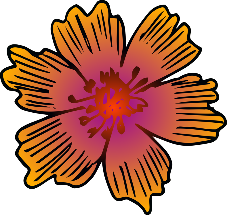 Chrysanths,plant,flower - Symmetrical Flower Design Clipart (789x750), Png Download