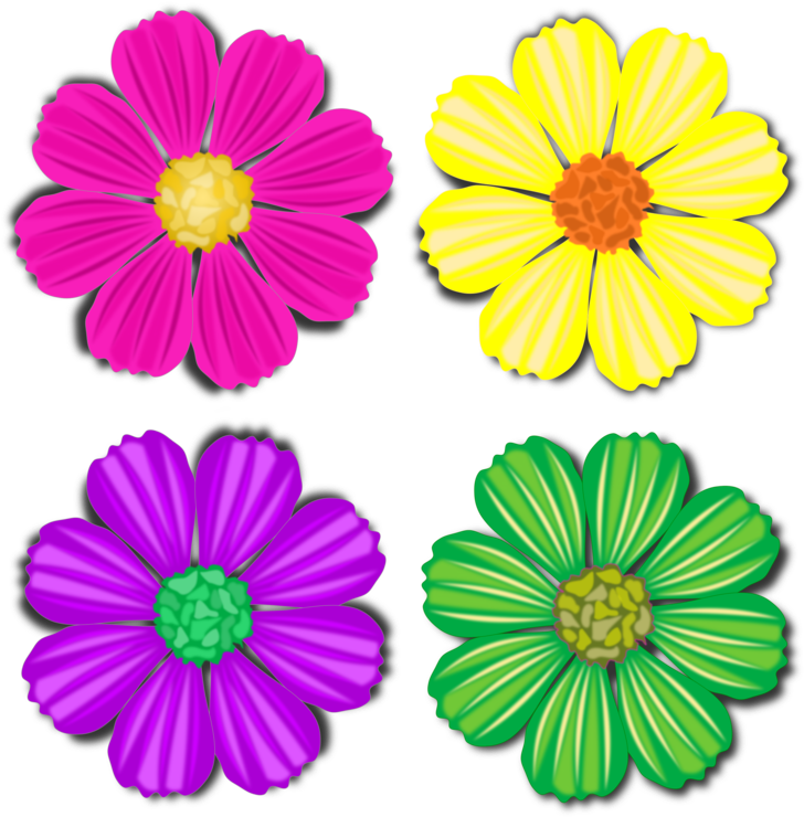 Chrysanths,flower,garden Cosmos - Chrysanthemum Cartoon Clipart - Png Download (750x750), Png Download