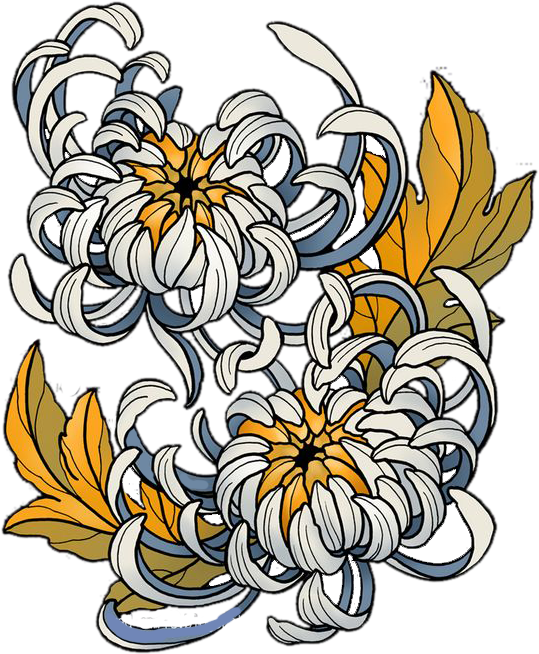 Transparent Chrysanthemum Clip Art - Neo Traditional Chrysanthemum Drawing - Png Download (539x654), Png Download