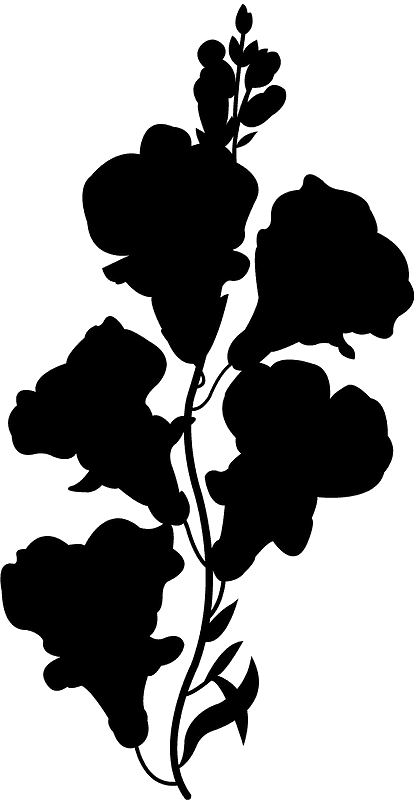 Silhouette Clipart (414x800), Png Download