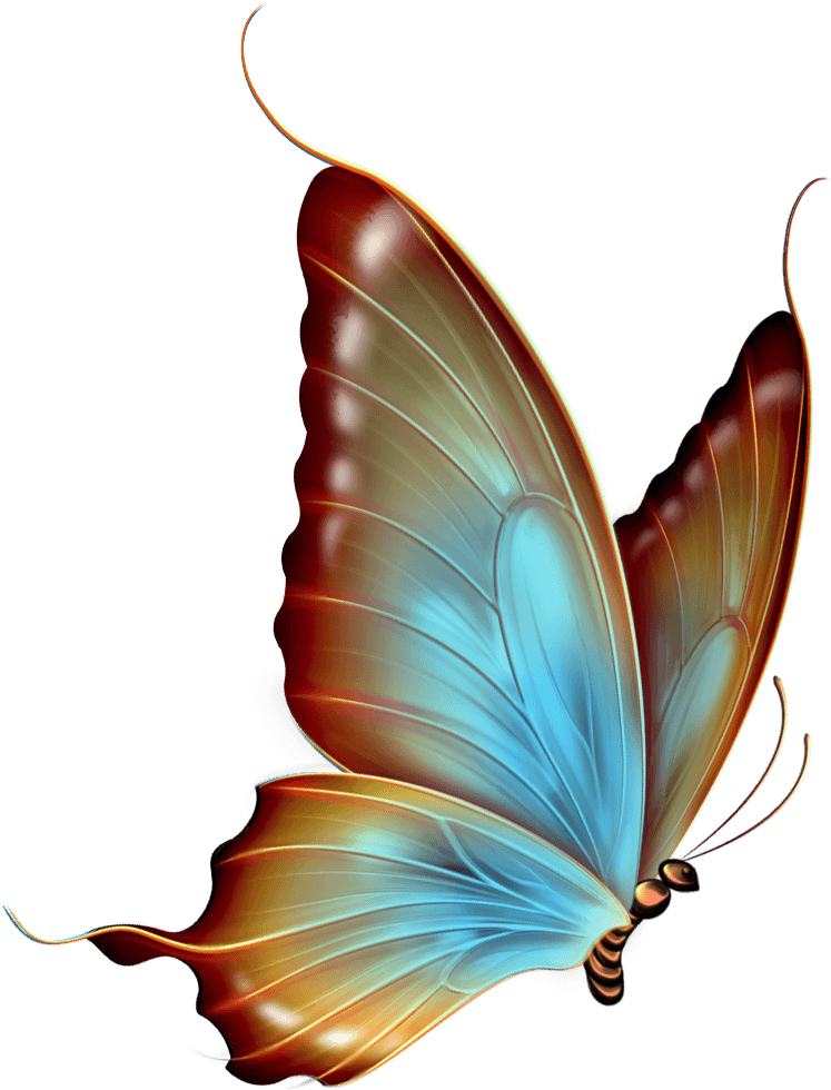 Swimming Butterfly Clipart Transparent - Transparent Background Butterfly Png (782x1000), Png Download