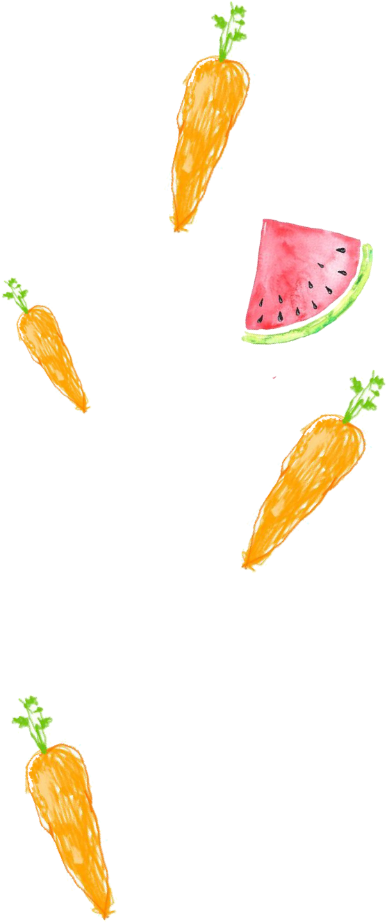 Clip Art - Png Download (741x1421), Png Download