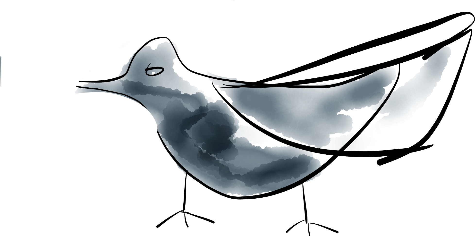 Swallow Clipart (2048x1536), Png Download