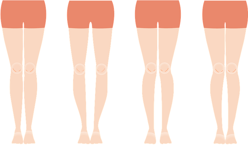 Legs Clipart - Tights - Png Download (800x496), Png Download