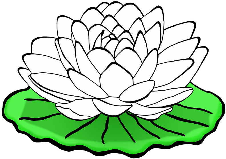 Lotus Flower Black And White Clipart - Png Download (960x614), Png Download