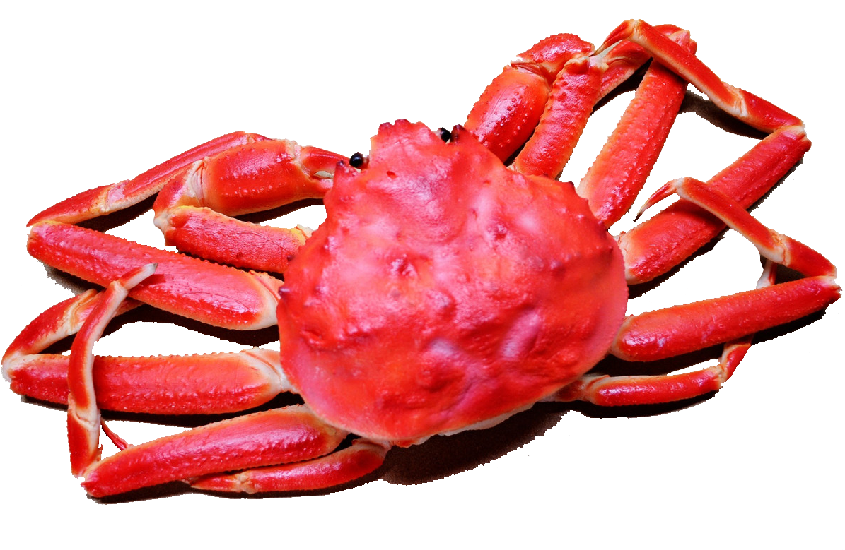 Transparent Red Crab Png - Clipart Crab (1195x779), Png Download