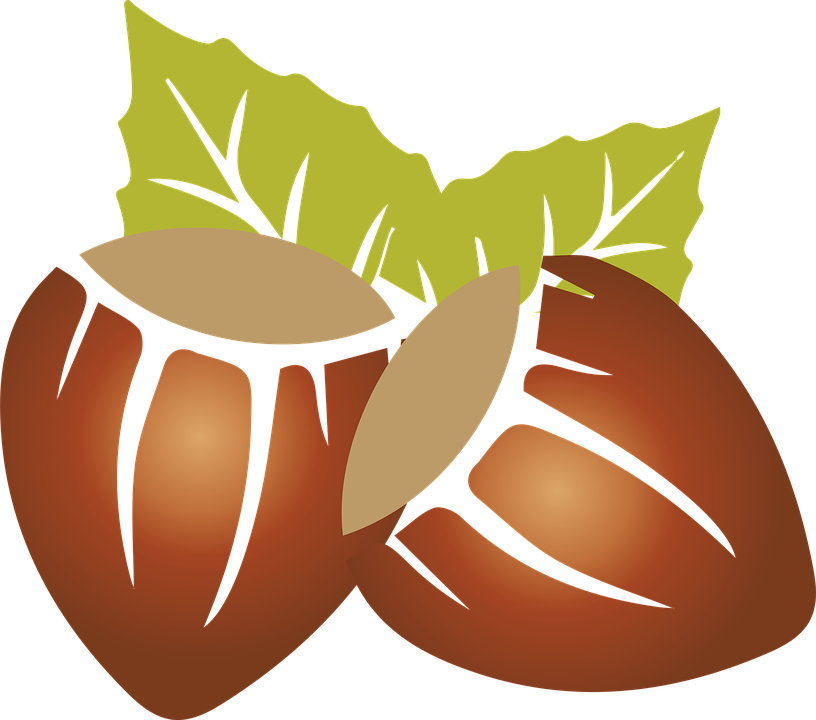 Transparent Dry Clipart - Hazelnut Clip Art - Png Download (816x720), Png Download