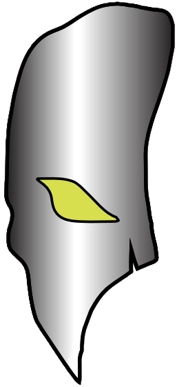 2020 01 Clipart (524x644), Png Download