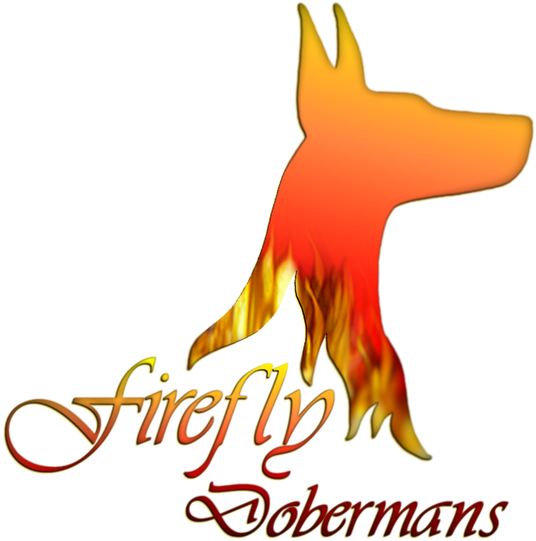 Picture - Escuela Da Vinci Clipart (578x578), Png Download